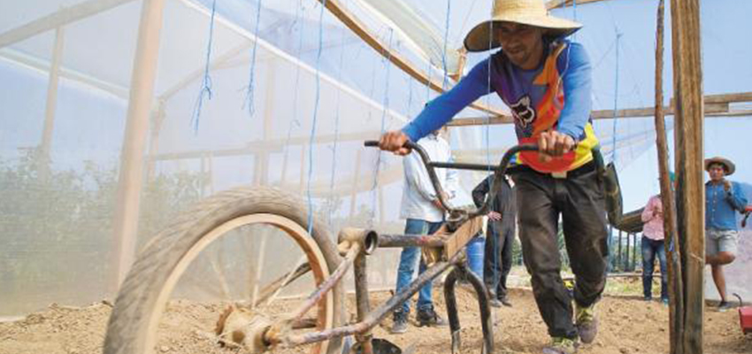 Tool that facilitates the opening of furrows in crops once the earth is prepared, created in the international design meeting in Guaviare. / Photos: Courtesy Unal