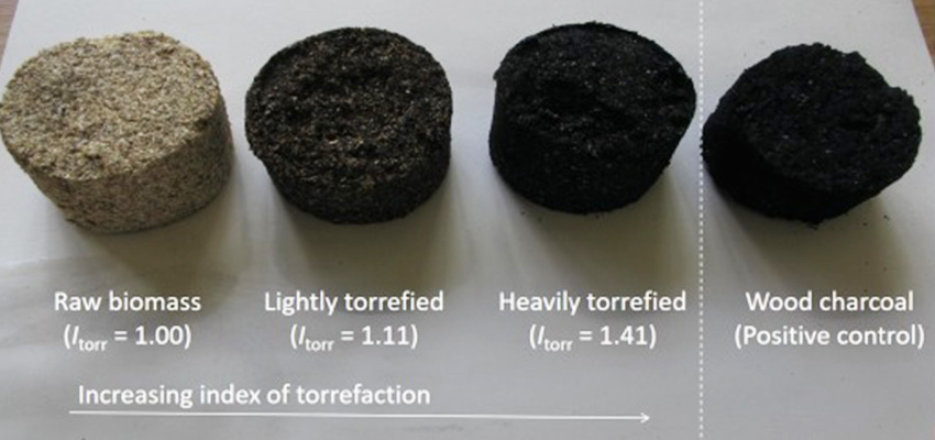 Formulation of cooking fuel from torrefied biomass.