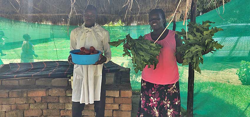Local chef Nicholas Edwaru (left) and Betty Ikalany (right) with fresh vegetables that have been stored in the brick evaporative cooling chamber.