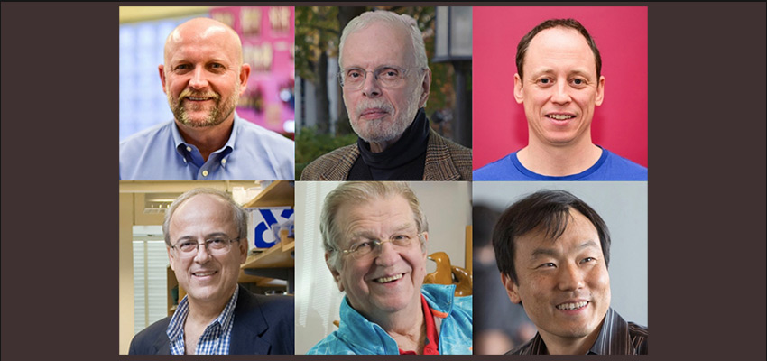 MIT faculty who received 2021 J-WAFS Solutions grants: (top row, left to right) Daniel Frey, Leon Glicksman, Eric Verploegen; (bottom row, left to right) Greg Stephanopoulos, Anthony J. Sinskey, Jongyoon Han