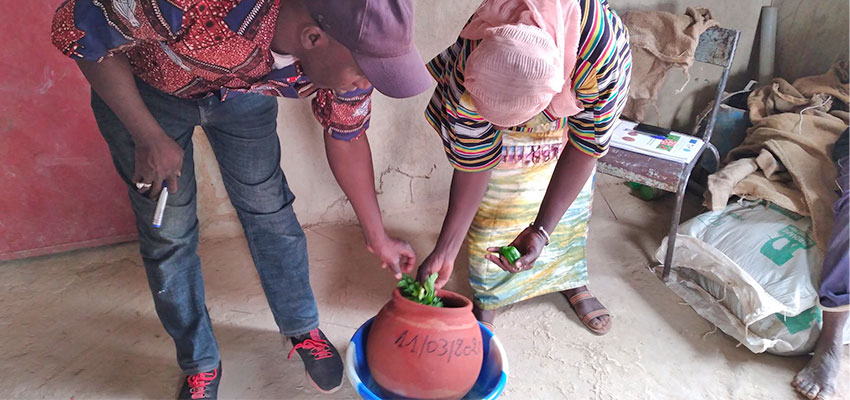 Boureima Djiguiba (left), a trainer in the construction and use of clay pot coolers. Photo: MIT D-Lab