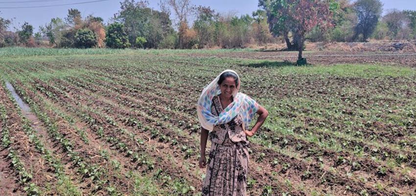 Woman in field