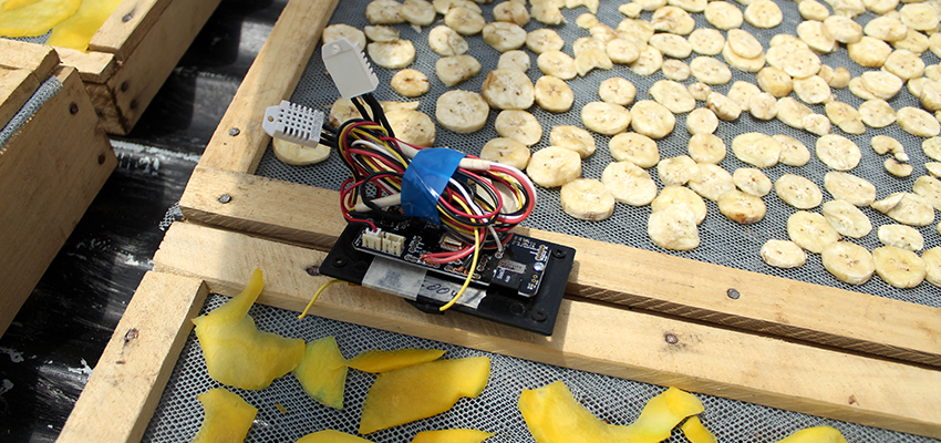 A sensor set up to measure relative humidity and temperature inside a solar dryer. Photo by Danielle Gleason.