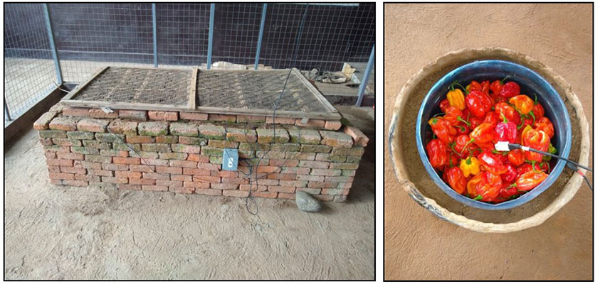  A brick Zero Energy Cooling Chamber (left) and a clay pot cooler (right) in Rubona, Rwanda.
