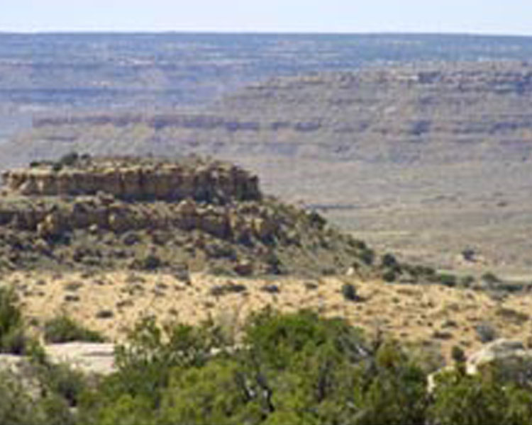 Black Mesa (photo from Nic-Paget Clarke, In Motion Magazine)