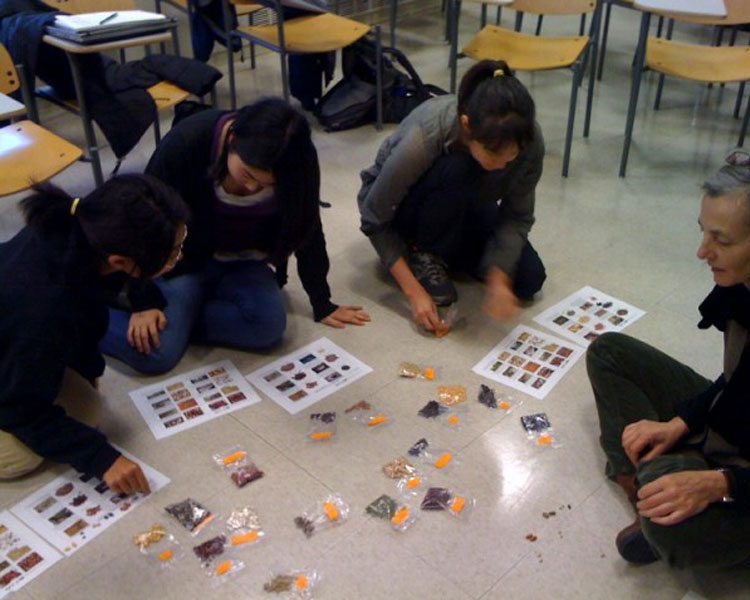 Playing a biodiversity simulation game developed by Dr. Martin Willison, Dalhousie University (photo from D-Lab Staff)