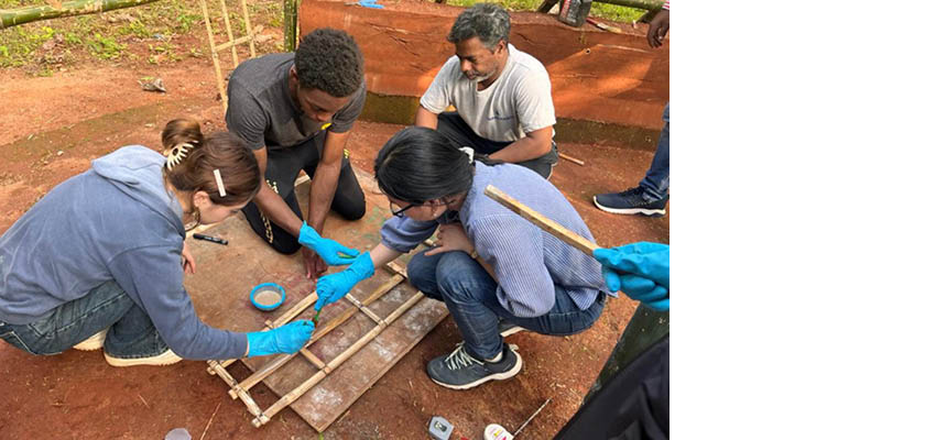 A small group of people applying Sikadur onto a bambo frame. 