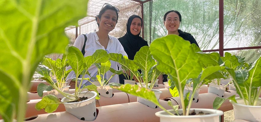 Tree women standing behind a table of small seedling plants.