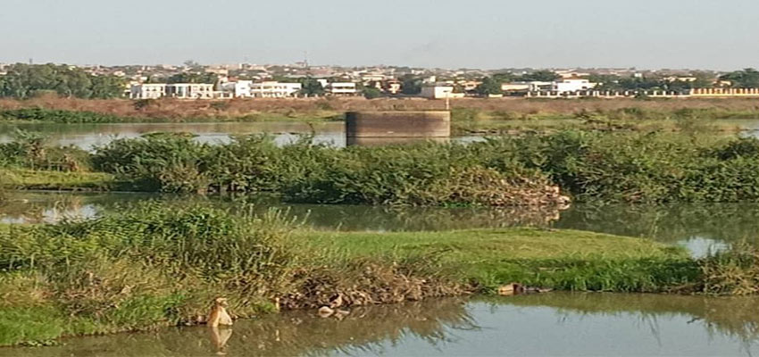 View of the river catchment of the 1st treatment plant of Bamako (140 000 m3/d) built in 1974.