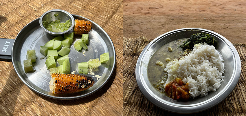 Two plates of view - one with charred corn at left and a rice dish at right.