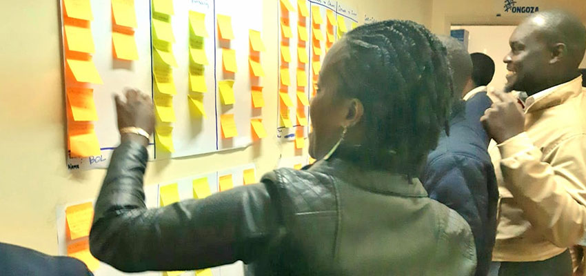 The Ongoza Staff takes a “Gallery Walk” to vote on Theory of Change assumptions that resonated with staff members