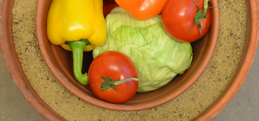 Vegetables are ready for storage in the kind of clay pot cooler best suited for use by individuals and small-scale farmers.