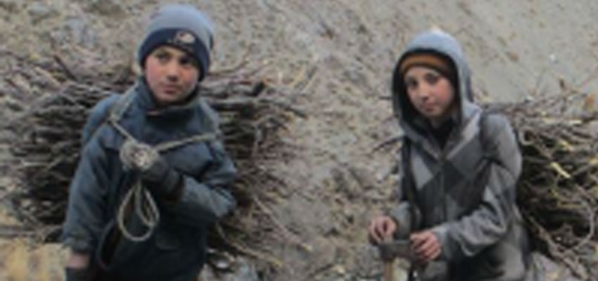 Children collecting firewood