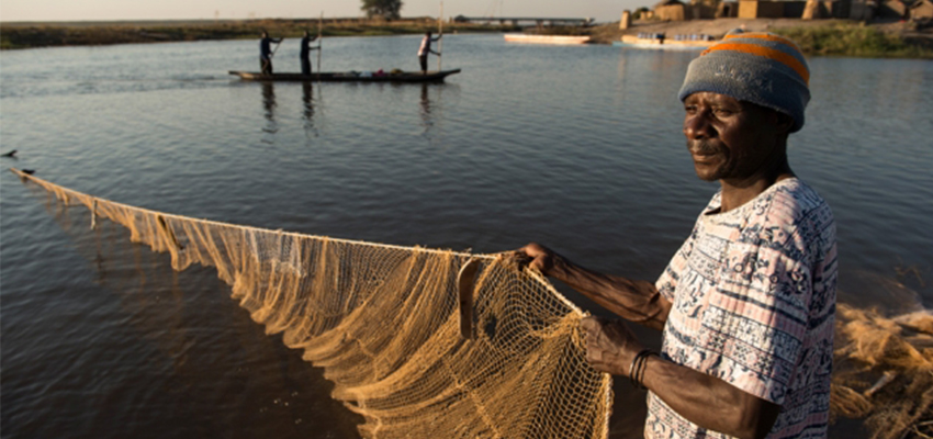 Fisherman in Mongu Harbor, Zambia - Photo: Anna Fawcus, courtesy of WorldFish