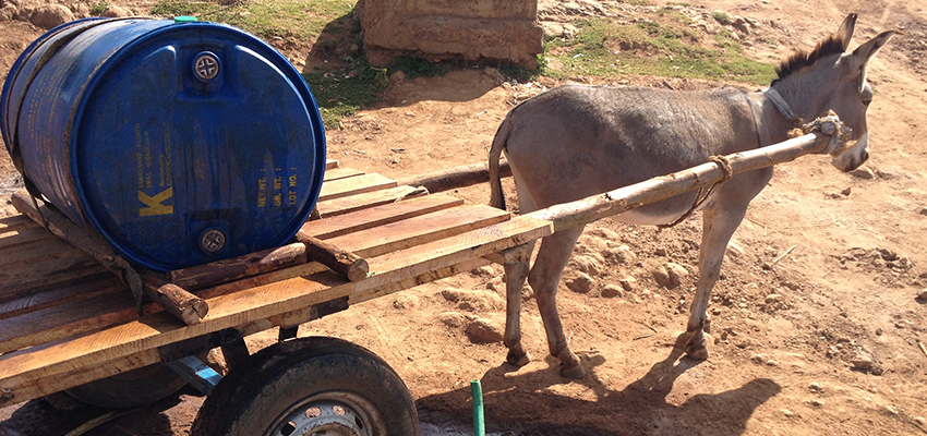 A donkey cart, carrying a large drum, is used for water transport at a peri-urban water kiosk.