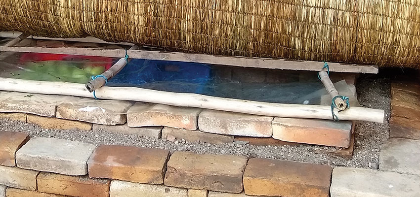 Evaporative Cooling For Improved Vegetable And Fruit