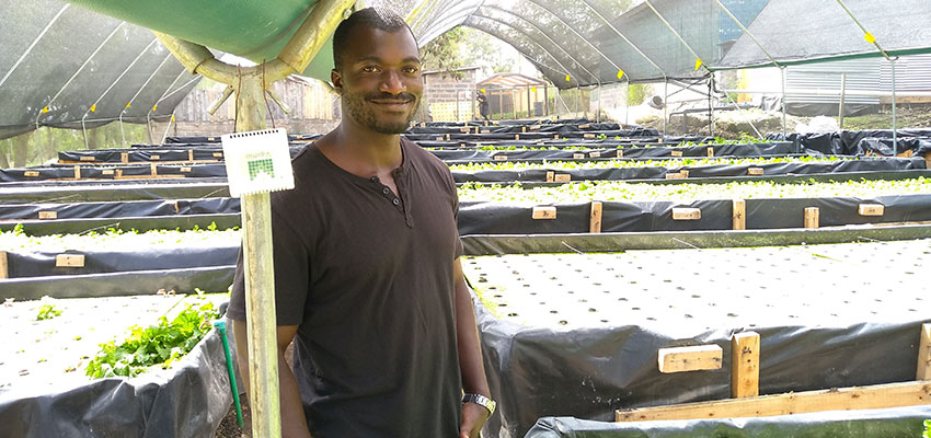 Emmanuel Biketi, Horticulture Manager at Kikaboni Farm in Olooloitikosh, Kenya with an Upande temperature and relative humidity IoT device.