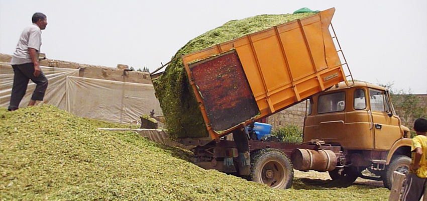 Agricultural truck, Morocco.