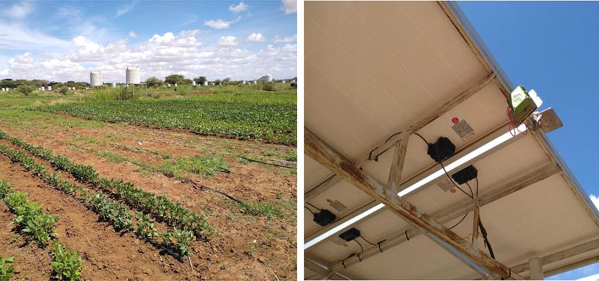 Drip-irrigated vegetable cultivation at Napuu 1 Drip Irrigation Scheme in Lodwar, Kenya (left), and a SweetSense gateway mounted on solar PV panels that transmits solar irrigation pump usage data to an online server via cellular or satellite data (right).