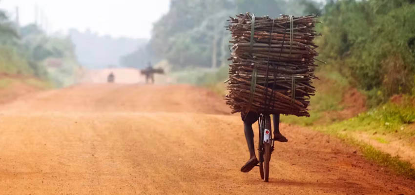 Bicycles are particularly valued for carrying loads. peeterv/Getty Images, CC BY