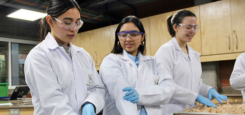 Project Manager Lourdes Figueroa teaches a student how to handle a volumetric flask to prepare one of the chemical solutions used in the reactions for the process. The other students are observing closely as they follow the steps of the demonstration, which is part of the initial stages of chemical preparation for the production of chitosan nanoparticles. Credits: Photo courtesy of the ASPIRE Project. 