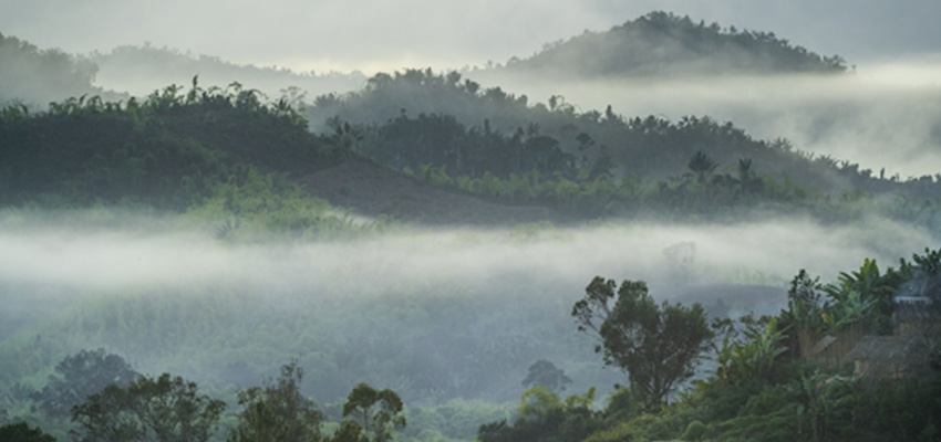Dense fog overlaying landscape in Madagascar. Photo: https://iucn.org/press-release/202501/multimillion-dollar-gbff-project-target-conservation-madagascars-threatened, Houdin&Palanque
