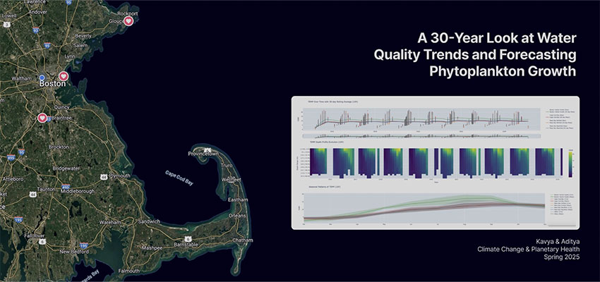 Image: Courtesy MIT D-Lab
