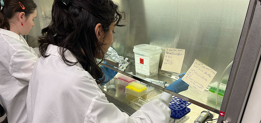 Diluting E. Coli to test the ECC Vials. Photo: Courtesy MIT D-Lab