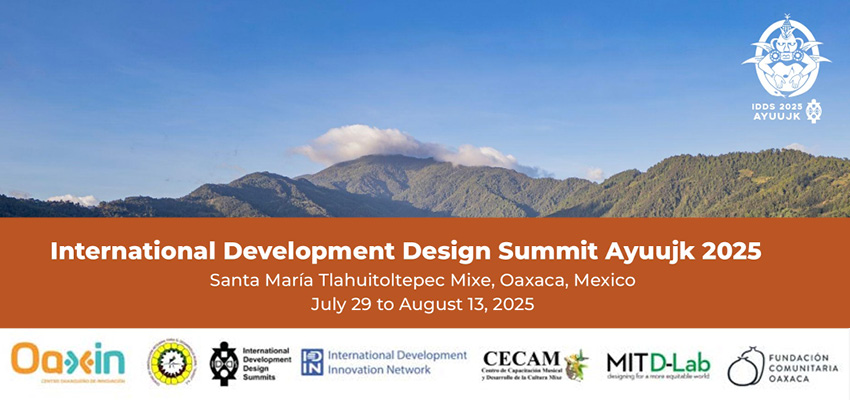 IDDS Ayuujk report cover.