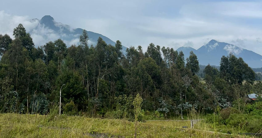 Photo: Courtesy MiT D-Lab