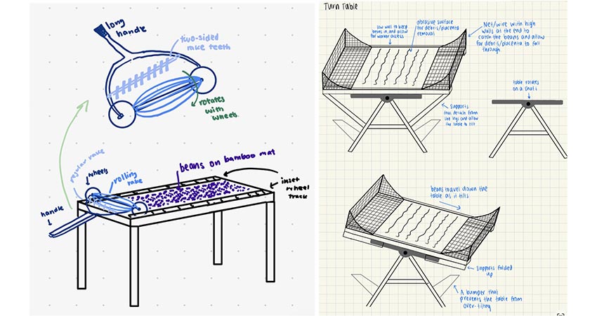 Initial brainstorming sketches showing potential table configurations and mechanisms designed to improve the efficiency of cocoa bean flipping during drying. (i) A rolling rake modeled after a rolling golf ball retriever that moves along the length of the drying table using wheel tracks; (ii) a tilting table with abrasive mesh andsecurity nets intended to remove bean debris and smooth bean surfaces while flipping batches of beans in bulk. Photo: i) Elise Echarte; ii) Skye Williams