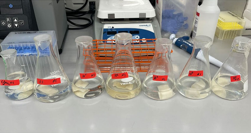 Photo: Courtesy MIT D-Lab