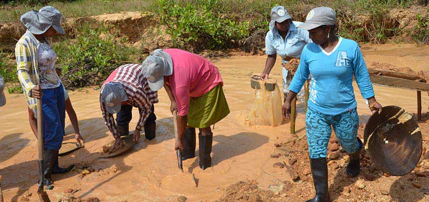 Miners panning for gold.