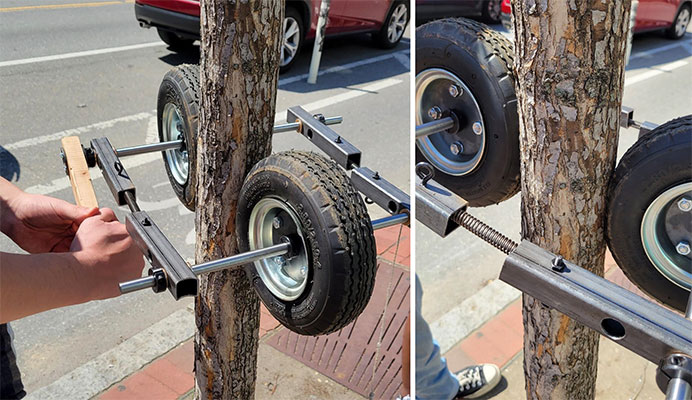 Two photos of a tree climber prototype set up on 4 inch diameter tree.