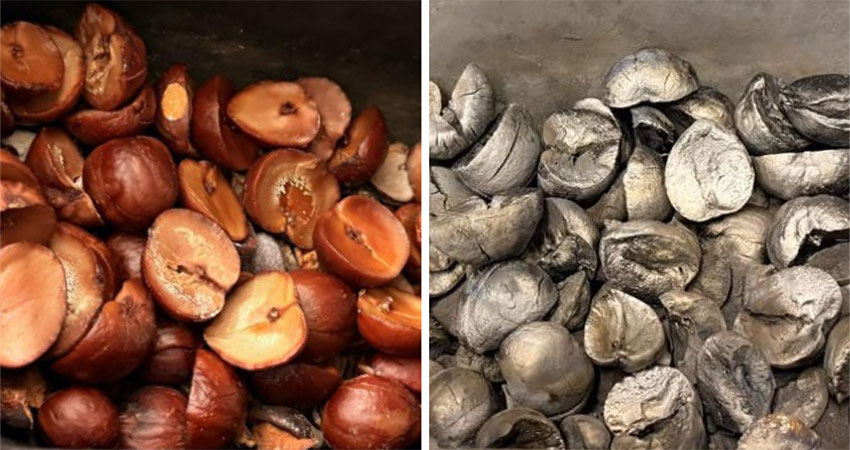 Two close-ups of a pile of avocado seeds.