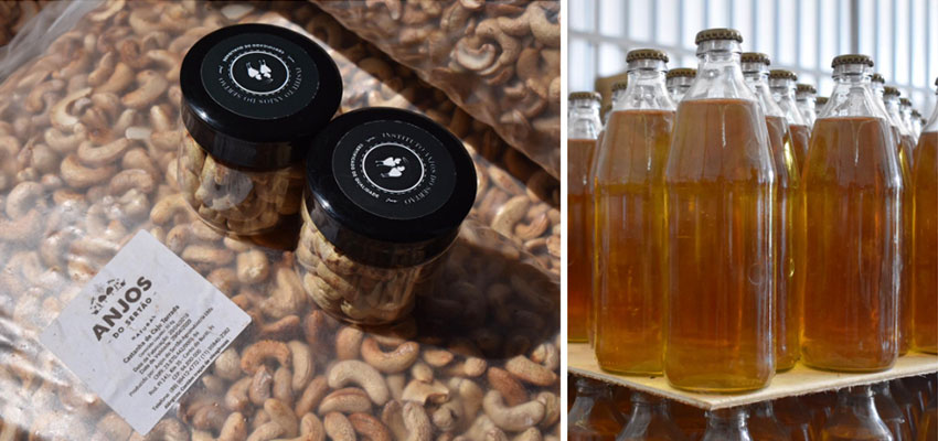Top Left: Packaged cashews ready to be distributed. Top Right: Bottled cajuina. 
