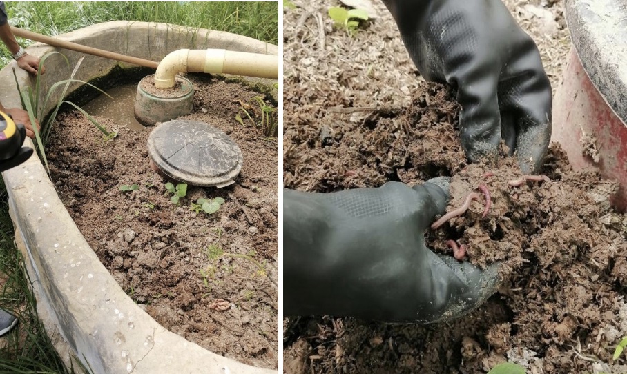 Left: picture of a tank of dirt. Right: picture of gloved hands sifting through dirt in same tank.