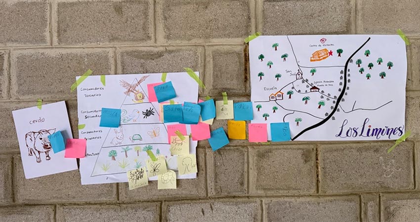 Drawings and diagrams on pieces of paper afixed to a wall.