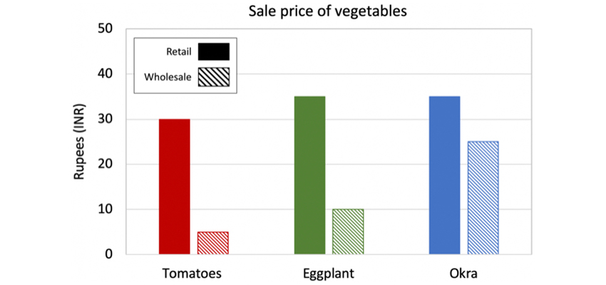 Average selling price of commonly grown vegetables in wholesale and retail markets (sample size n = 8)