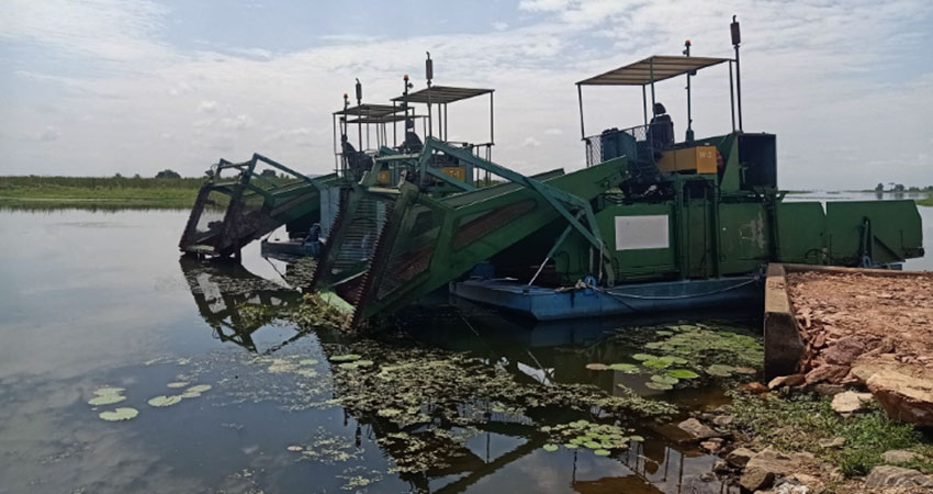 A large machine at lakes edge harvesting water hyacinths.