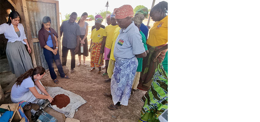 Women crouching on the ground using a nut mill while a small group of women and one man look on.