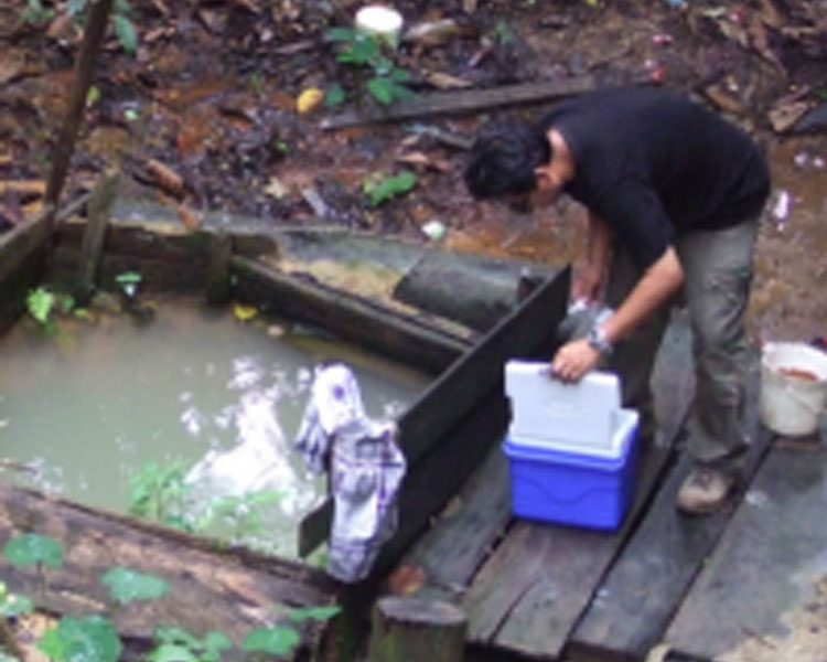 The cooler used for the incubator doubles as a way to safely carry water samples as they are collected. Santa Clotilde 2016.