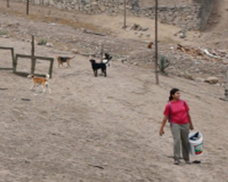 Team member Jahnavi carrying a 20 liter bucket.