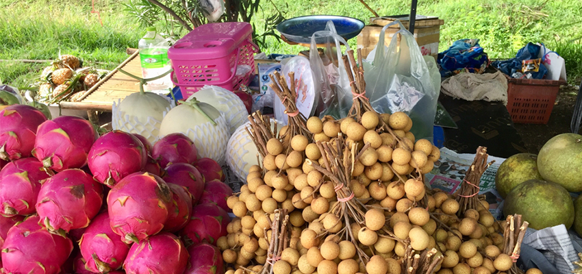 A fruit stand on the way to school with dragon fruit, longanberries, and coconuts