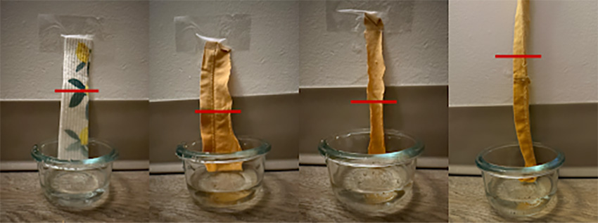 Photo of wicking experiment.