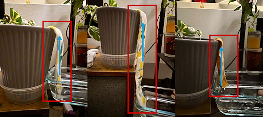 Soil moisture experiment.