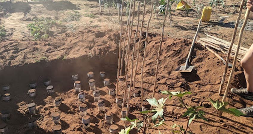 A small plot of excavated earth with multiple irrigation standpipes.