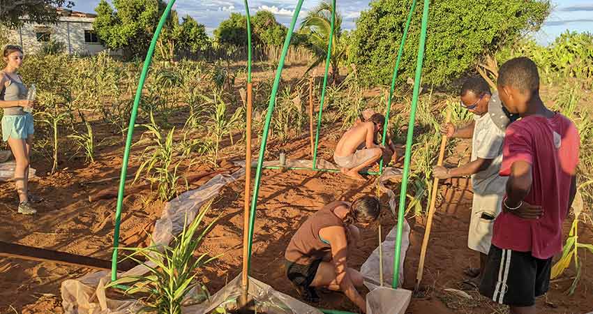 Building hoops for a greenhouse.