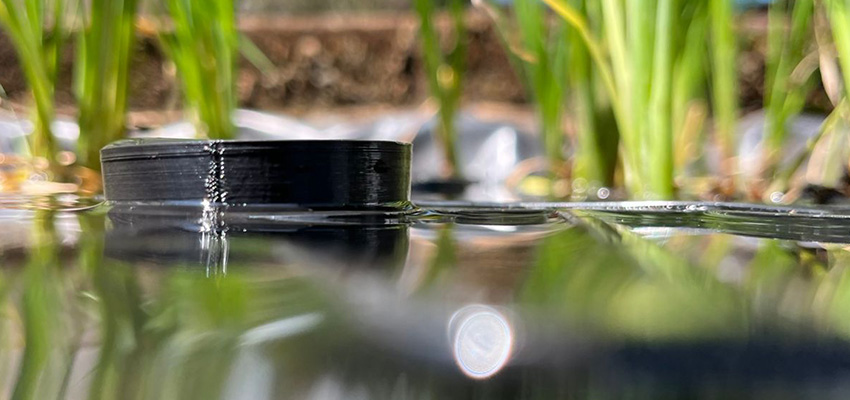 Close up of a buoyancy cup in water