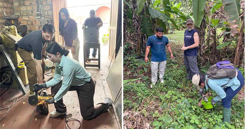 Left: Two people working over sparks. Right: Three people in lush green outdoors enviroment collecting samples.